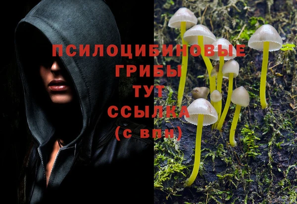 бошки Абдулино