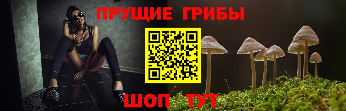 Домодедово  Псилоцибиновые грибы мицелий  Вход с VPN 